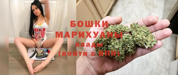 соль ск Няндома