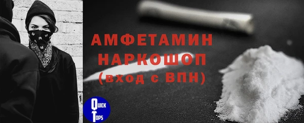 соль ск Няндома