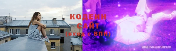 соль ск Няндома