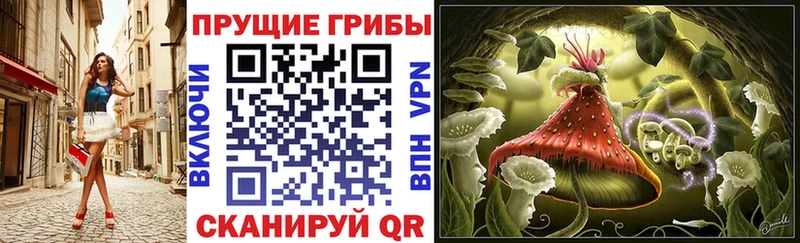 Псилоцибиновые грибы прущие грибы  kraken зеркало  Райчихинск 